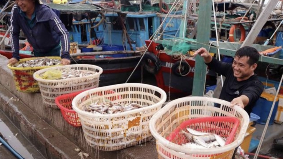 Hai Phong leads Vietnam’s fight against IUU fishing